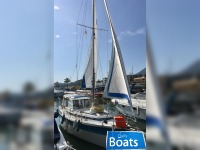 Custom Mon 291