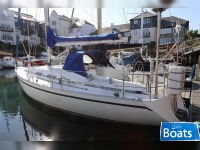 Starlight 35