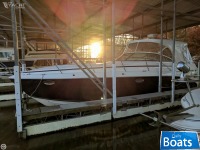 Rinker 400