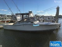 Carolina Classic 28