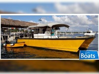 Custom Cargo Catamaran
