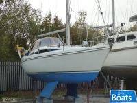 Hunter Horizon 30