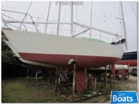 Custom Duck 31
