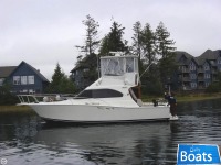 Luhrs Tournament 350