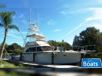 Bertram 46.6 Convertible 46 Sportfish