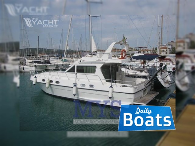 Buy 1991 Piantoni Evolution 39