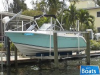 Cobia 220 Dc
