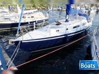  Customer Konsul 37