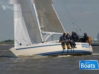 Olsen 31 - Erste Hand -