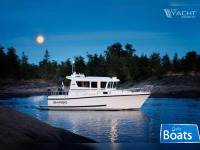 Sargo 28