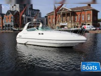 Discovery Sunline 31