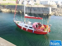 Great Dane 28