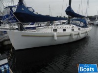 Freedom 35
