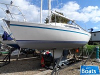 GibSea 282