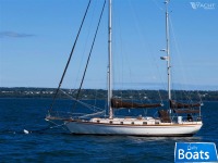 Shannon 43