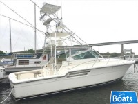 Tiara 4100 Open