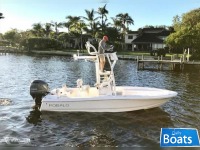 Robalo 206 Cayman