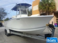 Palmetto23 Custom