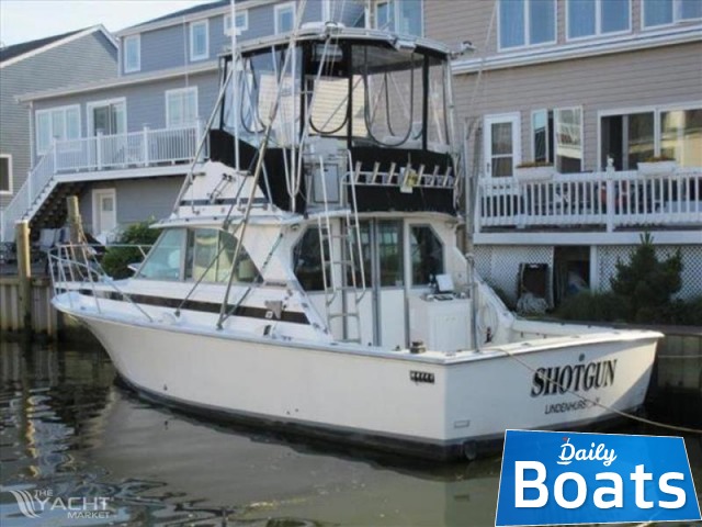 1978 Bertram 35 Express for sale