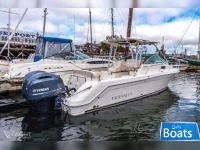 Robalo R265