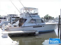 Egg Harbor 40 Convertible