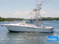 Rampage Yachts 38 Express