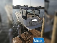 Rinker 320 Fiesta Vee