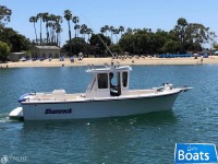 Shamrock 200 Pilothouse