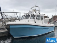 Cygnus Cyclone Patrol 30
