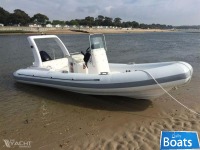 Panther Rib 6m
