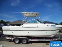 World Cat 230 DC
