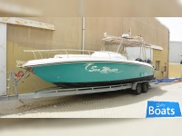Sea Master 31