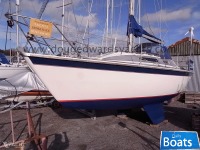 Westerly Tempest