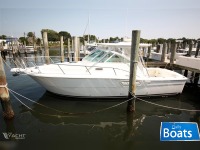 Rampage Express 30