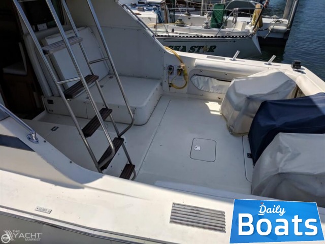 Buy 1986 Bertram 33 Sf