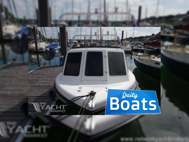 Buy 2011 Warrior 175 Export
