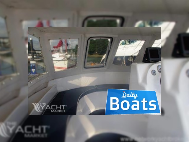 Buy 2011 Warrior 175 Export