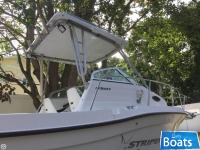 Seaswirl 2301 Wa Striper