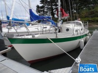 Frances 26