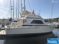 Bertram 37 Convertible