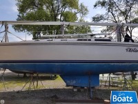 Catalina 42