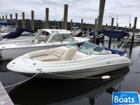 Sea Ray 210 Sundeck