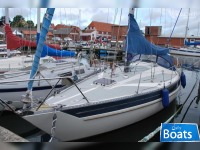 Kings Cruiser 33