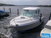 Dorado 20