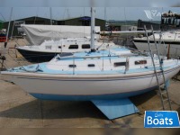 Westerly Griffon 26