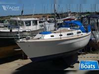 Colvic Countess 28