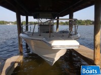 Stamas 290 Tarpon