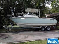 Sea Pro Boats 24