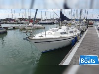 Colvic Countess 28