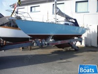 Commander 31